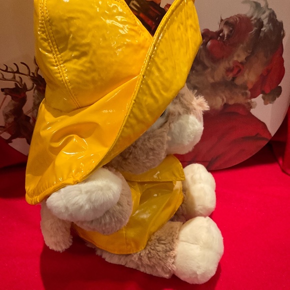 Singing Bunny Rabbit Singing “ It’s a Sun Shiny Day” New Please watch the video! - Picture 3 of 5